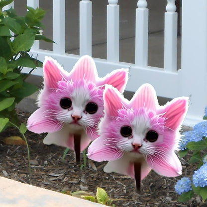 New Cat Face flowers featuring distinctive face-like markings and decorative petals for ornamental garden beds and colorful flower displays.