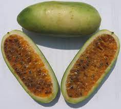 Banana Passion Fruit Seeds for Planting – Heirloom Non-GMO Garden Seeds