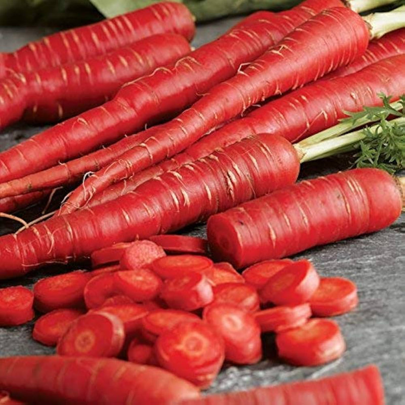 Carrot Vegetable Seeds for Planting – Heirloom Non-GMO Garden Seeds