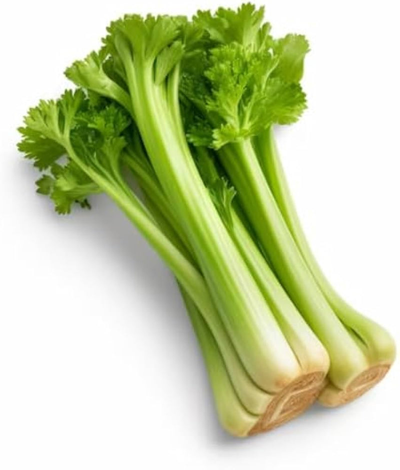 Celery Vegetable Seeds for Planting – Heirloom Non-GMO Garden Seeds