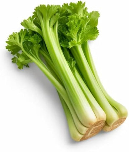 Celery Vegetable Seeds for Planting – Heirloom Non-GMO Garden Seeds