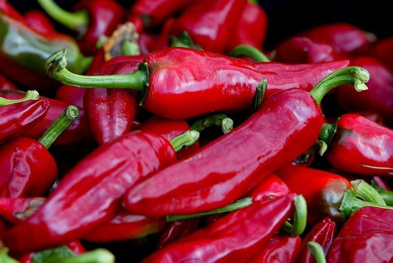 Chimayo Heirloom Pepper Vegetable Seeds for Planting – Heirloom Non-GMO Garden Seeds