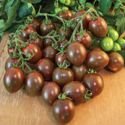 Chocolate Tomato Seeds for Planting – Heirloom Non-GMO Garden Seeds