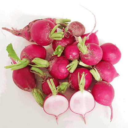 Pink Radish Seeds for Planting – Heirloom Non-GMO Garden Seeds
