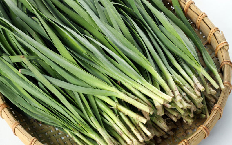 Garlic Chive Herb Seeds for Planting – Heirloom Non-GMO Garden Seeds