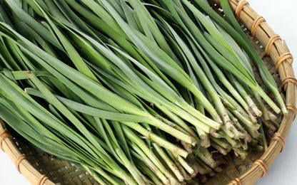 Garlic Chive Herb Seeds for Planting – Heirloom Non-GMO Garden Seeds