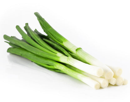 Leek Vegetable Seeds for Planting – Heirloom Non-GMO Garden Seeds