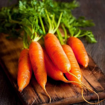 Little Finger Carrot Seeds