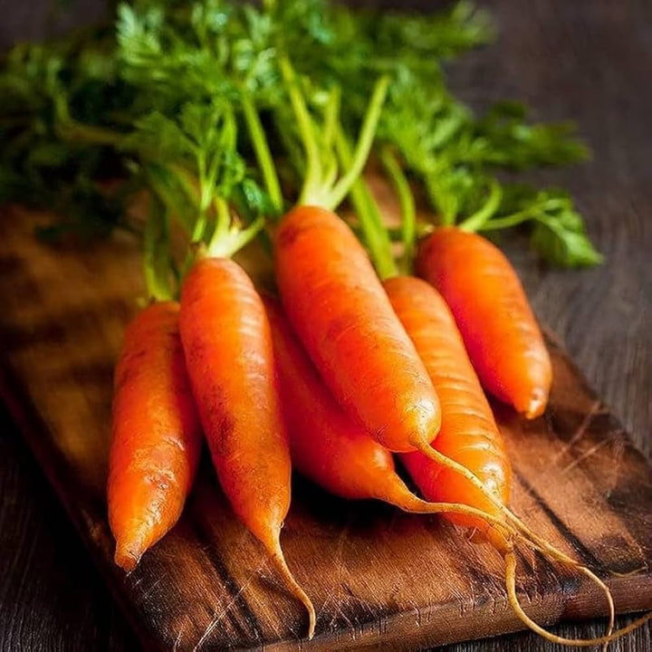 Little Finger Carrot Seeds