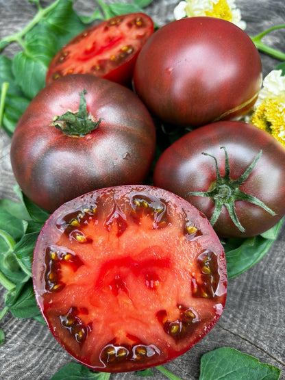 Maroon Tomato Seeds for Planting – Heirloom Non-GMO Garden Seeds