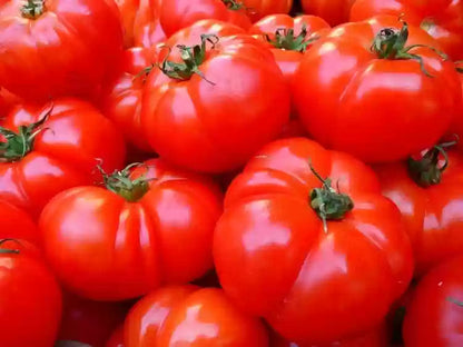 Mixed Giant Tomato Seeds for Planting – Heirloom Non-GMO Garden Seeds
