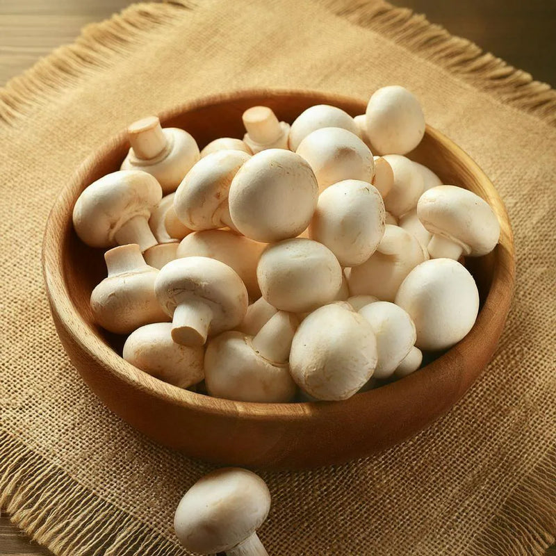 Mushroom Seeds for Planting – Heirloom Non-GMO Garden Seeds