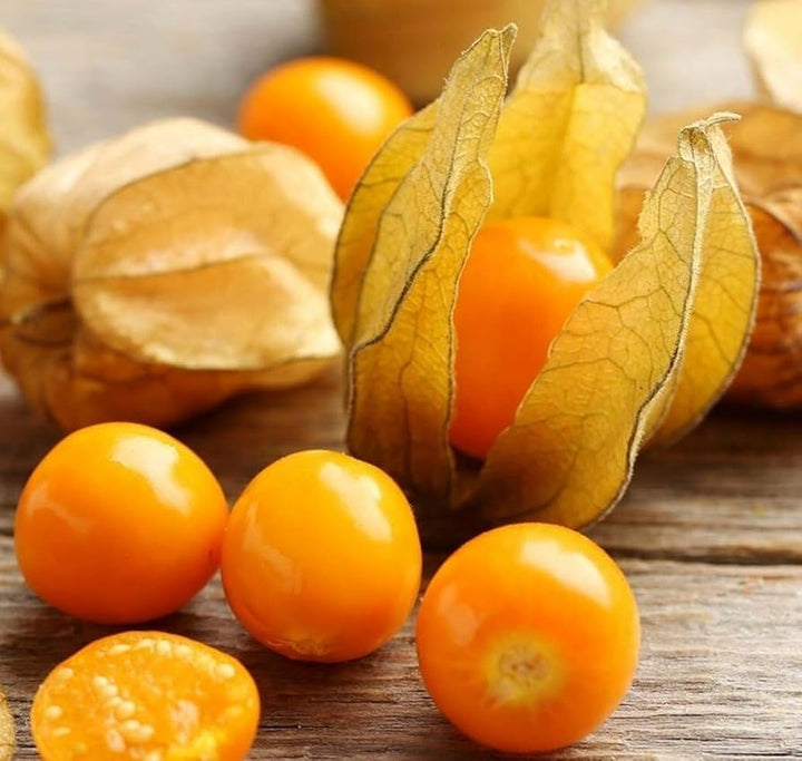 ground cherry seeds