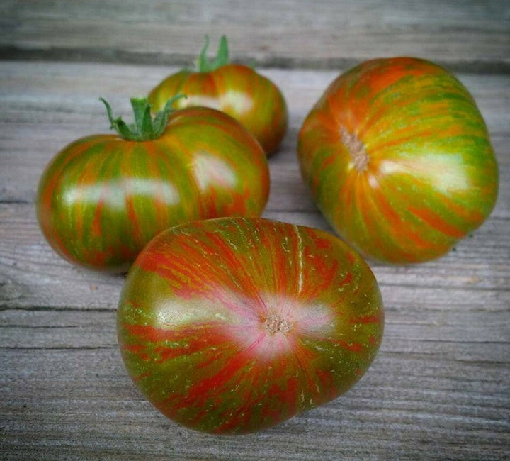 Berkeley Tomato Seeds
