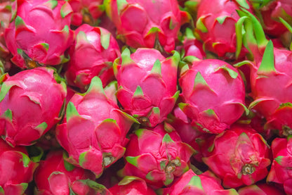 Pitaya Fruit Seeds for Planting – Heirloom Non-GMO Garden Seeds