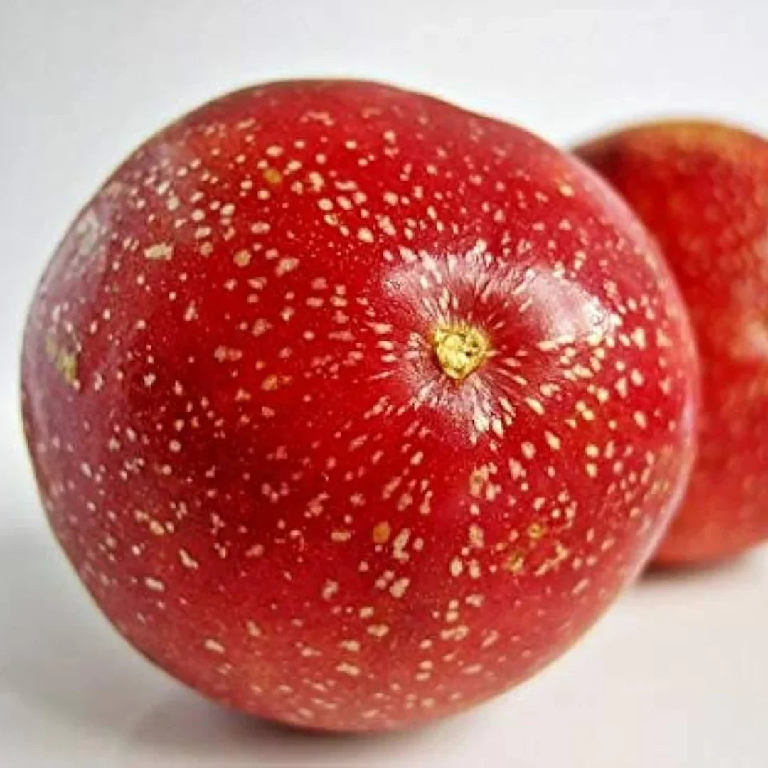 red mixed passion fruit seeds