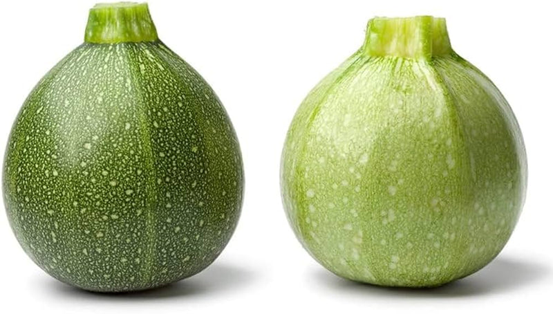 Summer Squash Vegetable Seeds for Planting – Heirloom Non-GMO Garden Seeds