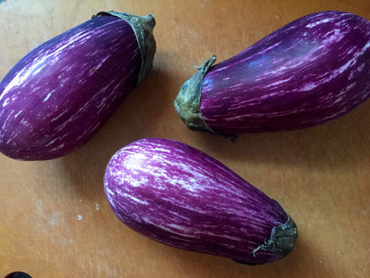 Sweet Eggplant Seeds for Planting – Heirloom Non-GMO Garden Seeds