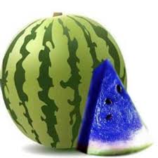 Blue Watermelon Fruit Seeds for Planting – Heirloom Non-GMO Garden Seeds