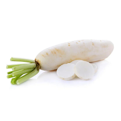 White Radish Seeds for Planting – Heirloom Non-GMO Garden Seeds