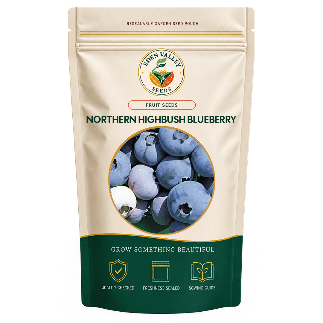 Northern Highbush Blueberry Seeds for home gardens