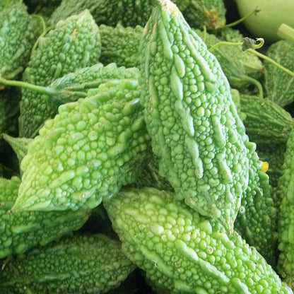 Bitter Gourd Seeds