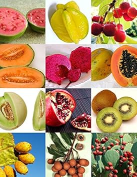 edible fruit seeds