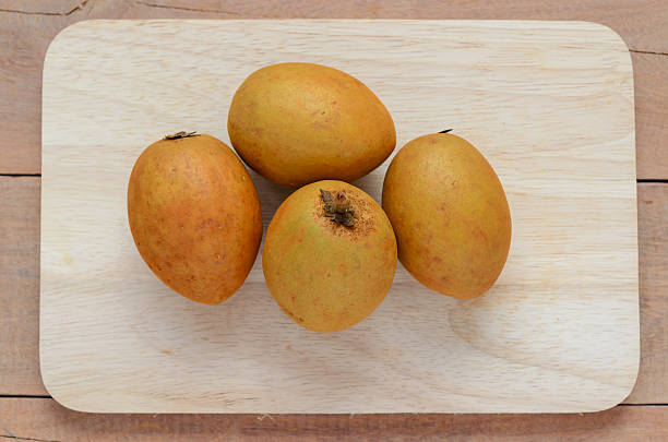 Oliver Loquat fruit seeds for planting, featuring Eriobotrya japonica, an evergreen fruit tree with golden orange fruit and large green leaves for home gardens.