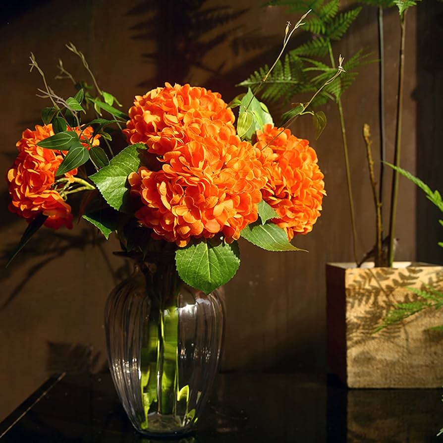 Orange Hydrangea flower seeds