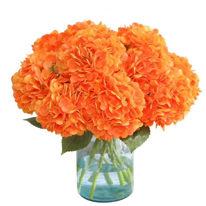 Orange hydrangea flowers growing in a beautiful ornamental garden