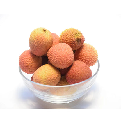Orange Lychee Fruit Seeds for Planting – Heirloom Non-GMO Garden Seeds