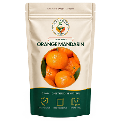 Orange Mandarin Seeds for home gardens