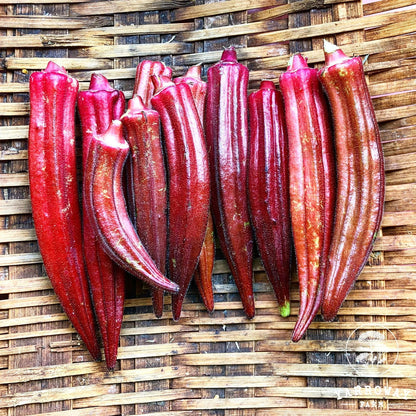 Orange Okra Seeds