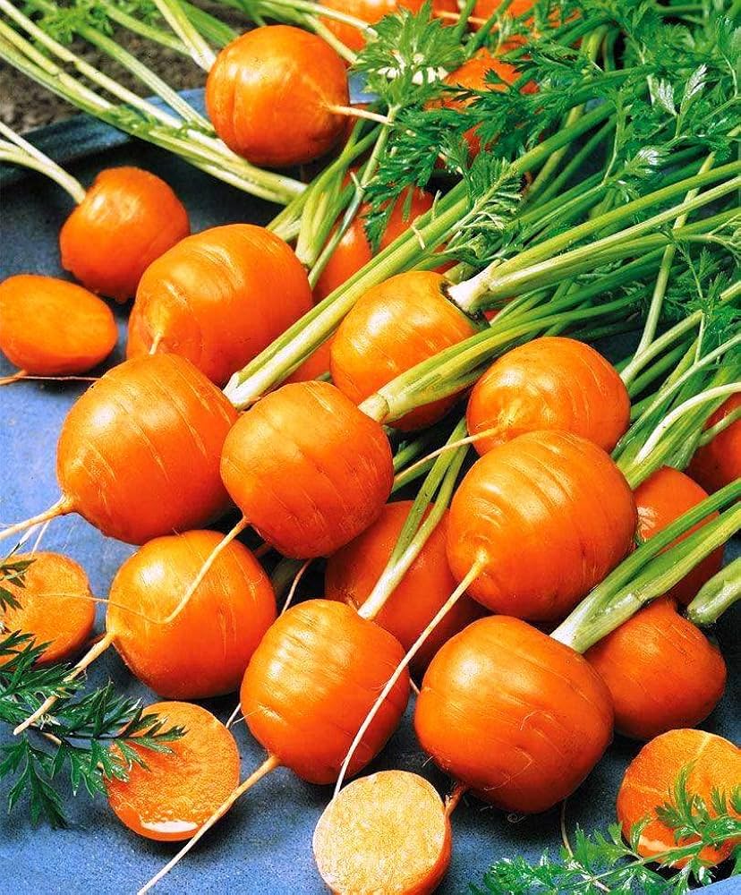 Orange Radish Seeds