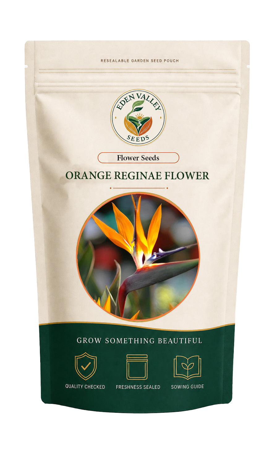 Orange Reginae Flower Seeds for home gardens