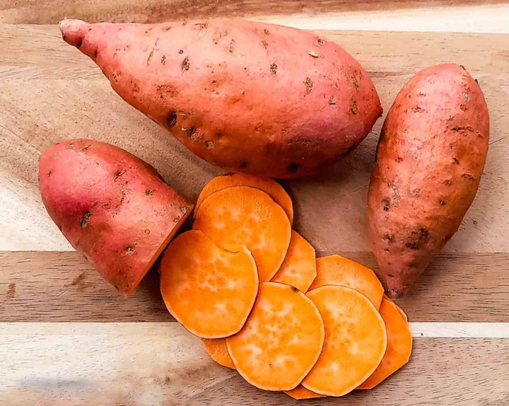 Orange sweet potato vegetable growing in a home garden