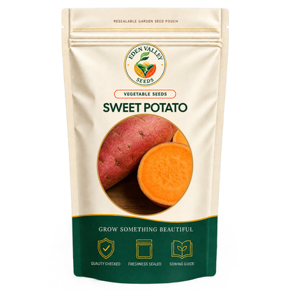 Orange Sweet Potato Vegetable Seeds for home gardens