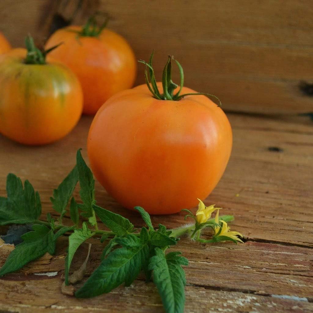 Orange Tomato Seeds