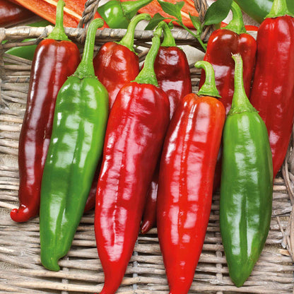 Big Jim Pepper Seeds for Planting – Heirloom Non-GMO Garden Seeds