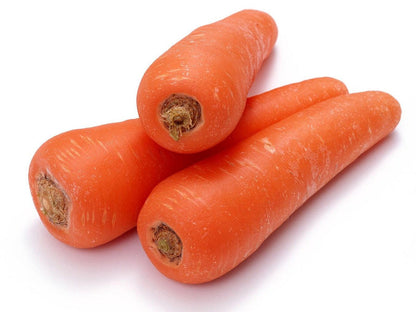 Red Giant Radish Seeds for Planting – Heirloom Non-GMO Garden Seeds