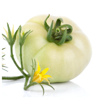White Wonder Tomato Seeds for Planting – Heirloom Non-GMO Garden Seeds