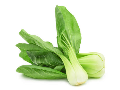 Pak Choi vegetable plants with green leaves and crisp pale stalks growing in a garden