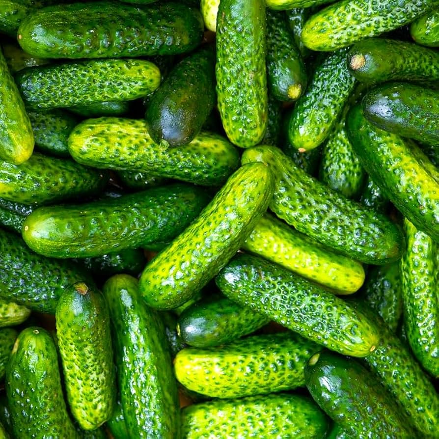 Parisian Pickling Cucumber Seeds