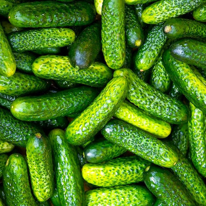 Parisian Pickling Cucumber Seeds