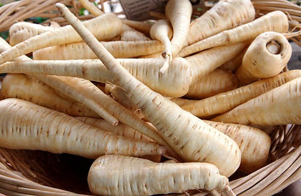 Parsnip vegetable seeds for planting with mature creamy-white parsnip roots in garden soil