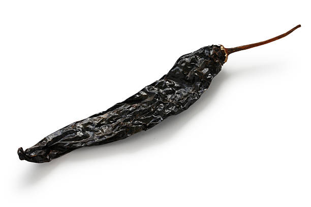 Pasilla pepper seeds for planting with mature dark green chilaca peppers, deep brown dried pasilla chilies, and a healthy pepper plant for home vegetable gardens.