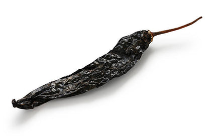 Pasilla pepper seeds for planting with mature dark green chilaca peppers, deep brown dried pasilla chilies, and a healthy pepper plant for home vegetable gardens.