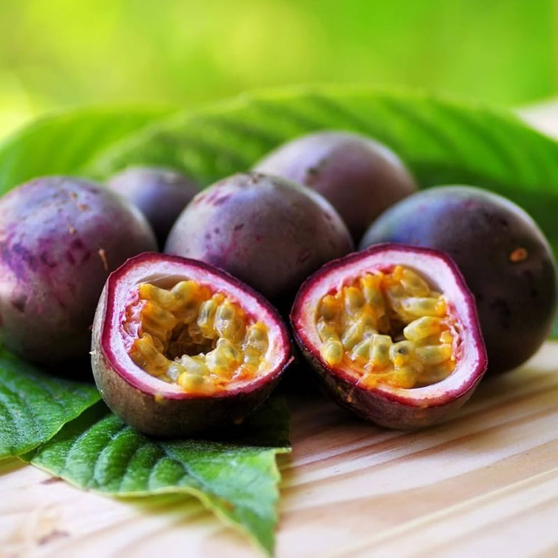 Dark Purple Passion Fruit Seeds for Planting