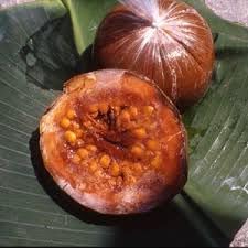 borojo fruit seeds