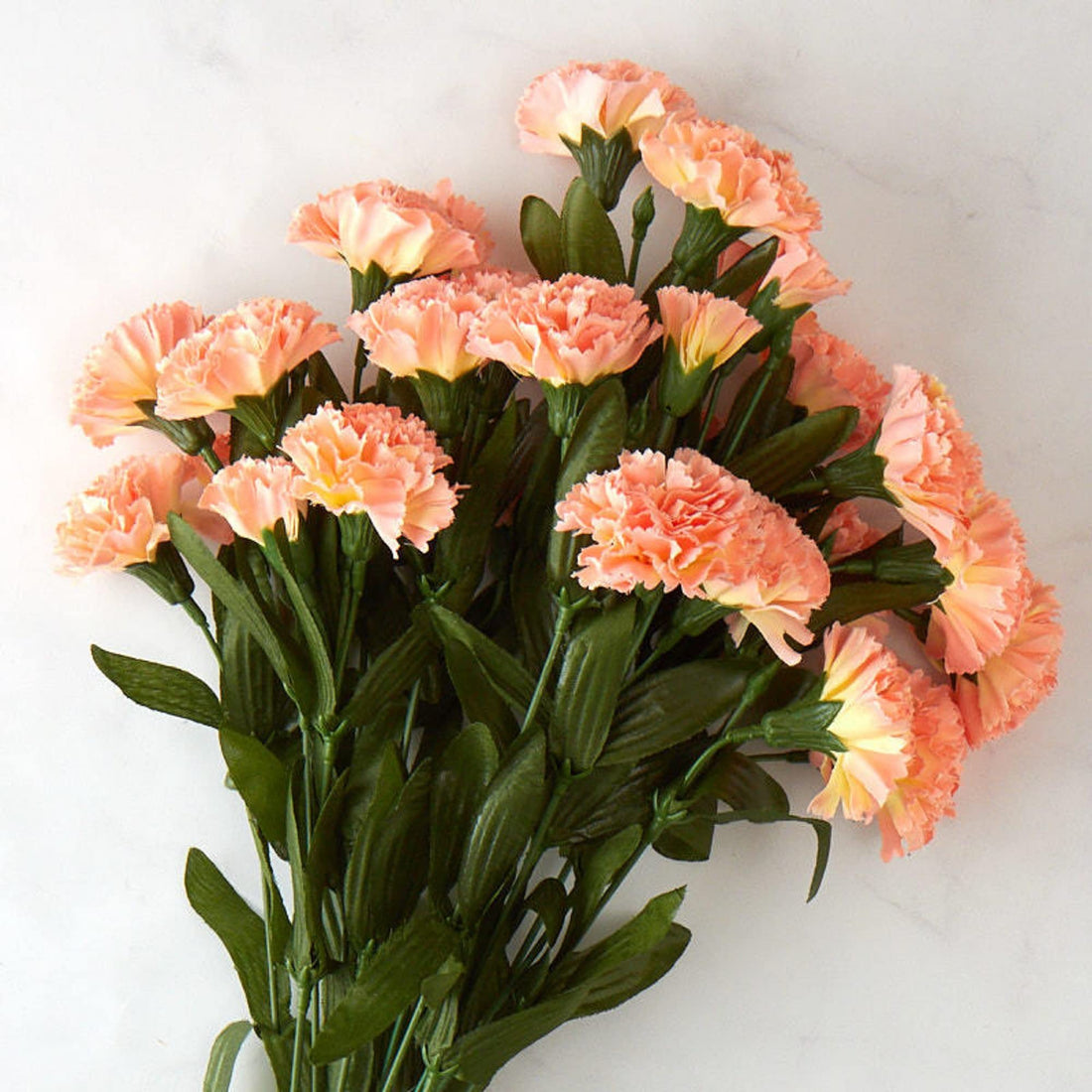 Peach Carnation flower seeds